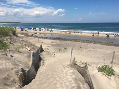 Gallery 225 IMG_3098