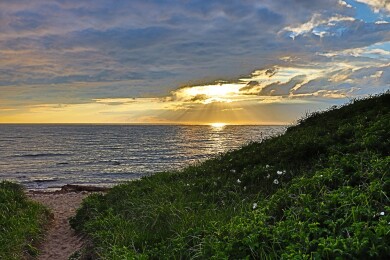 Gallery 321 IMG_0545