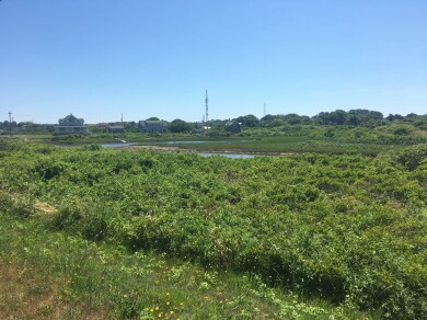 Gallery 259 IMG_3100