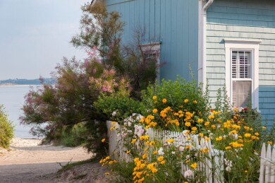 Gallery 269 Cottage 1773 6-2012