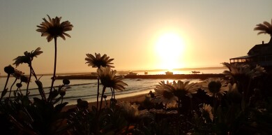 Gallery 297 IMG_20170925_070257 - Edited