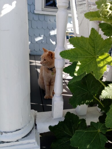 Gallery 383 IMG_20170602_074351