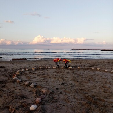 Gallery 355 IMG_20170909_192916_798