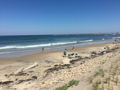 Gallery 221 IMG_3106