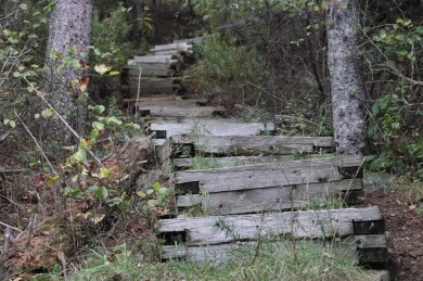 Gallery 369 Enchanted Forest 6