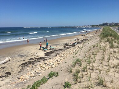 Gallery 291 IMG_3110