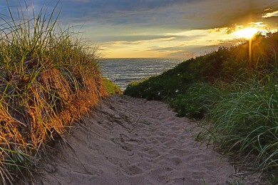 Gallery 381 Cooneymus Sunser 3